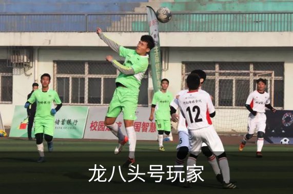 关于龙八头号玩家